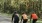 a group of people riding bikes on a road with trees on either side