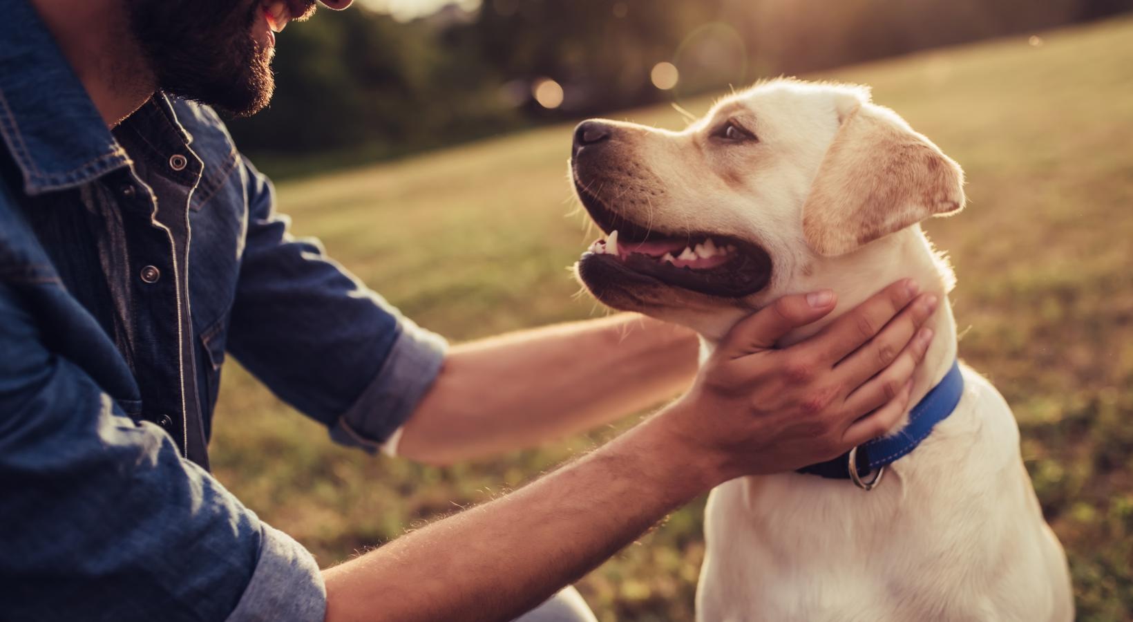 We welcome all your furry friends a man holding a dog